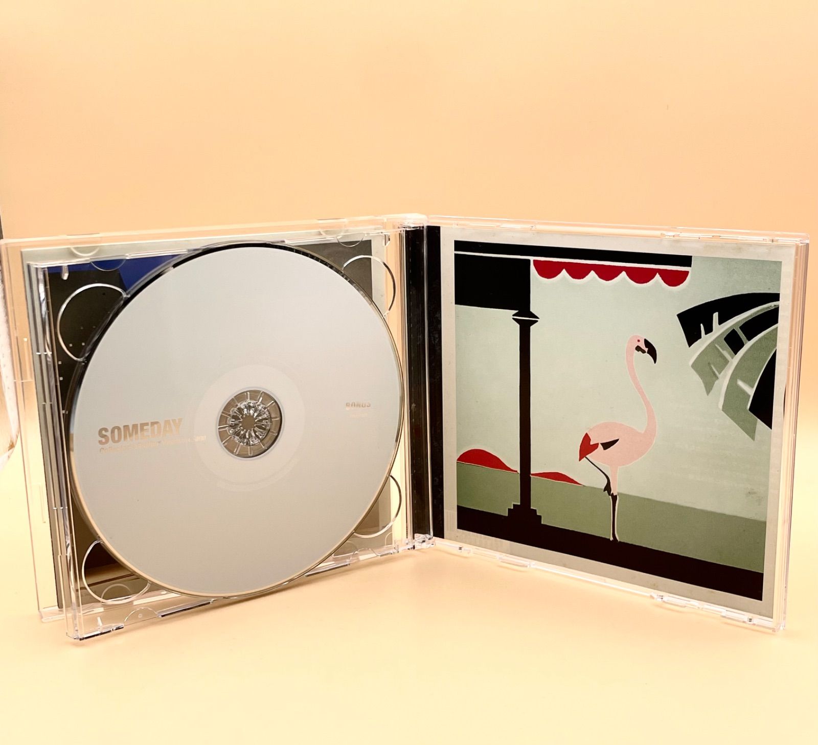 完全生産限定盤 佐野元春 CD SOMEDAY Collector's Edition