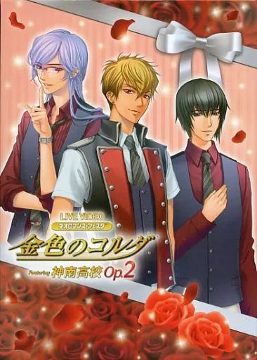 激レア　超デカ　金色のコルダ　神南高校ver. 立てかけ イラストボード 中古】その他DVD LIVE VIDEO ネオロマンス フェスタ 金色のコルダ