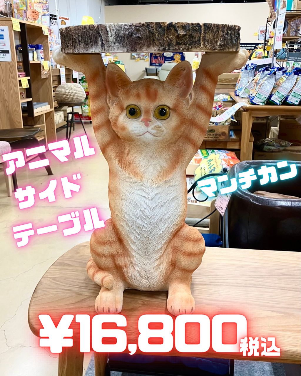 サイドテーブル マンチカン ネコ おしゃれ アニマル 動物 ソファ横 ポップ 楽天市場】5%offクーポン配布中 サイドテーブル おしゃれ アニマル