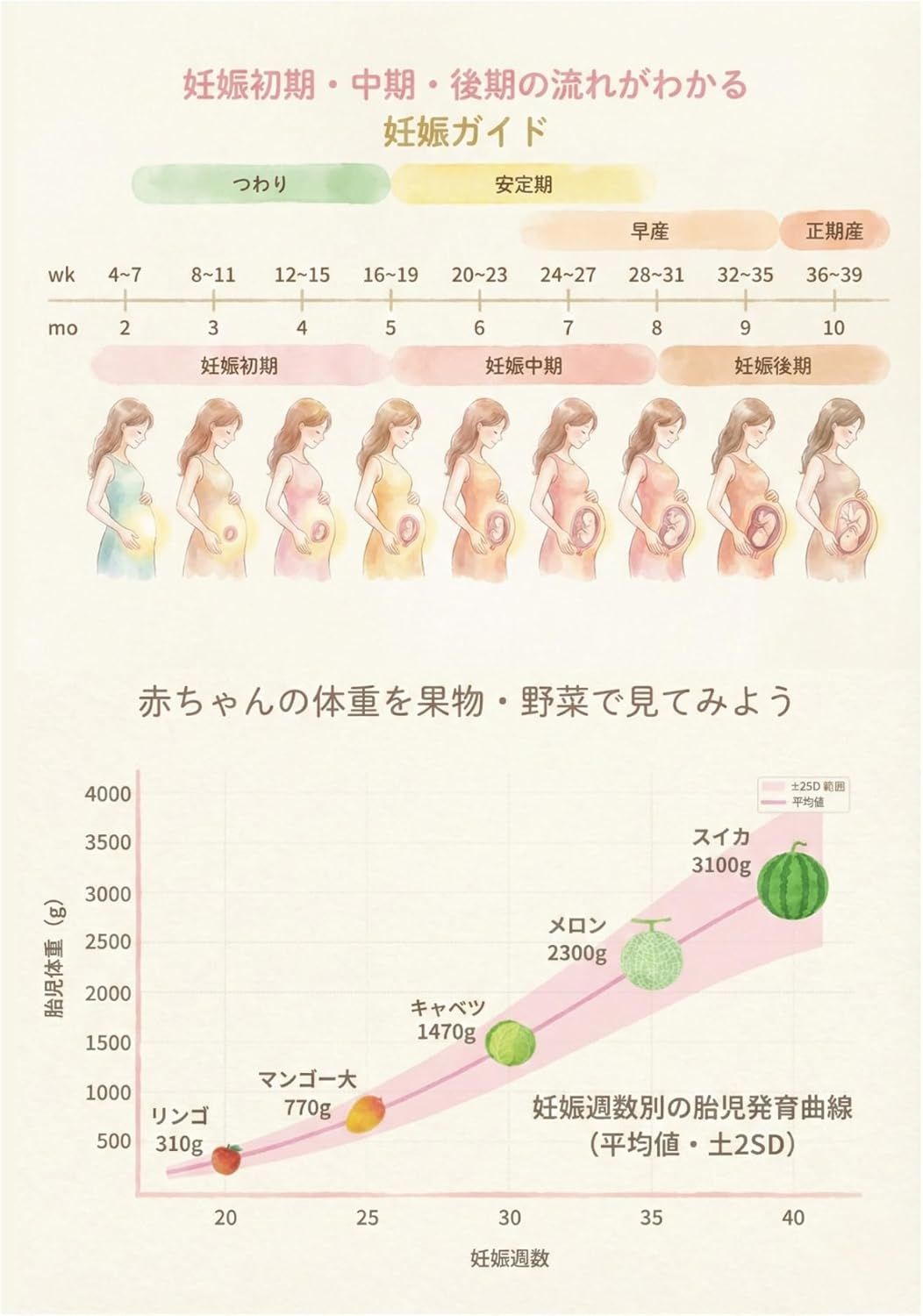 Flyingegg マタニティマーク 妊娠週数 トツキトオカ 胎児成長ガイド