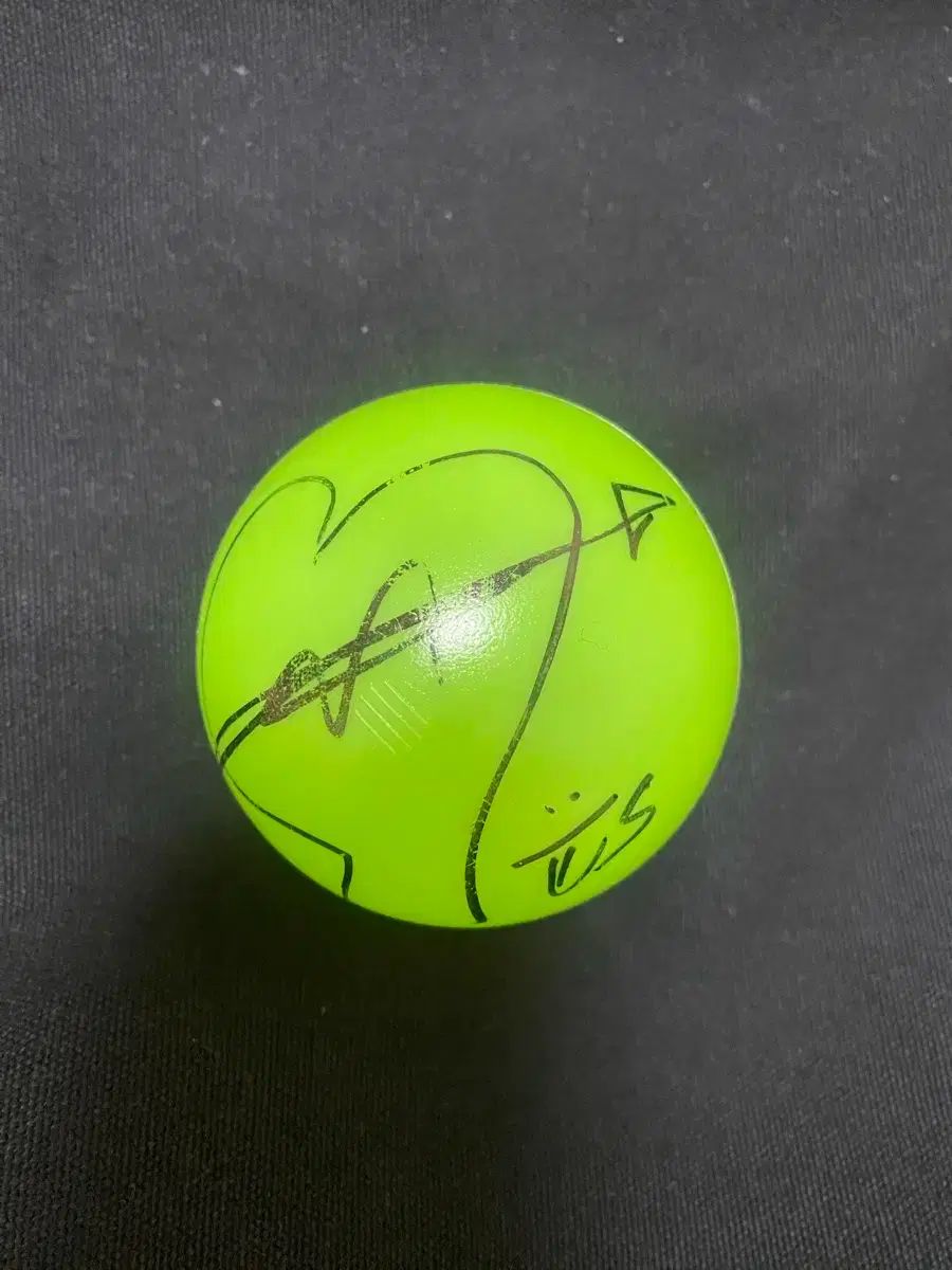 中国美術 書道具 文房具 硯 梅花鳥文端渓硯 唐物 古物 時代物 大振