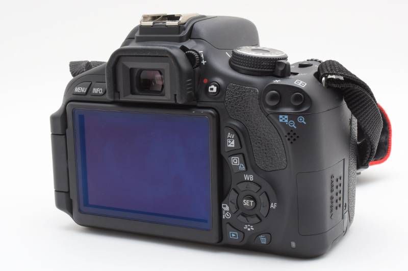 ボディ ショット数