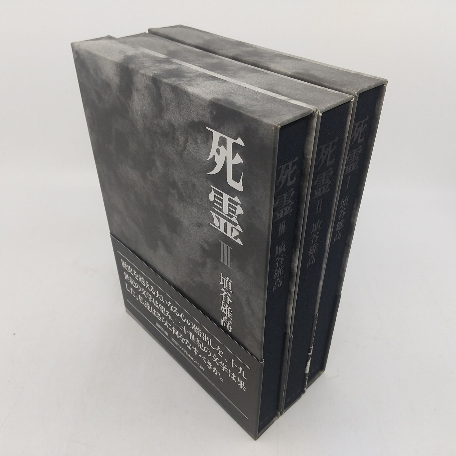 セット】死霊 埴谷雄高 3巻セット 1995年(平成7年)発行 講談社 しれい