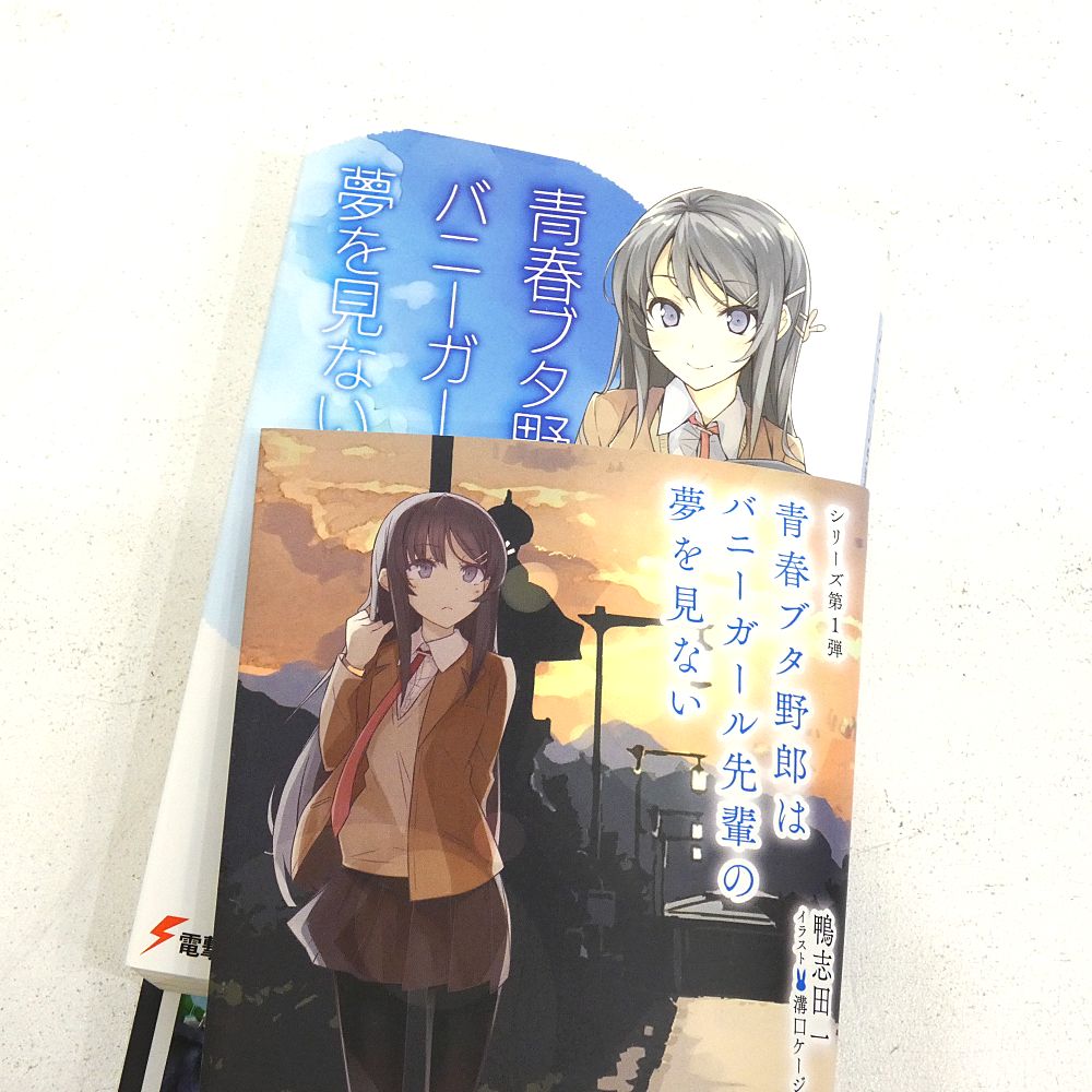 小牧店】ライトノベル 青春ブタ野郎シリーズ 1～11巻セット 鴨志田一