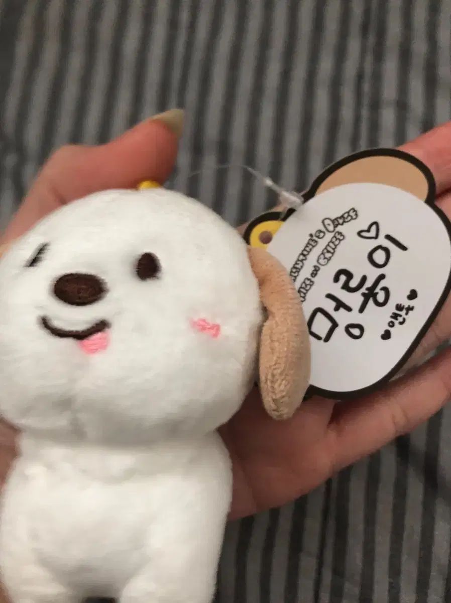 RIIZE ぬいぐるみバッジ アントン モンリョンイ 멍룡이 アントン トレカ 1期 멍룡이 RIIZE（ライズ） アントン(ANTON) ぬいぐるみ 10cm - メルカリ