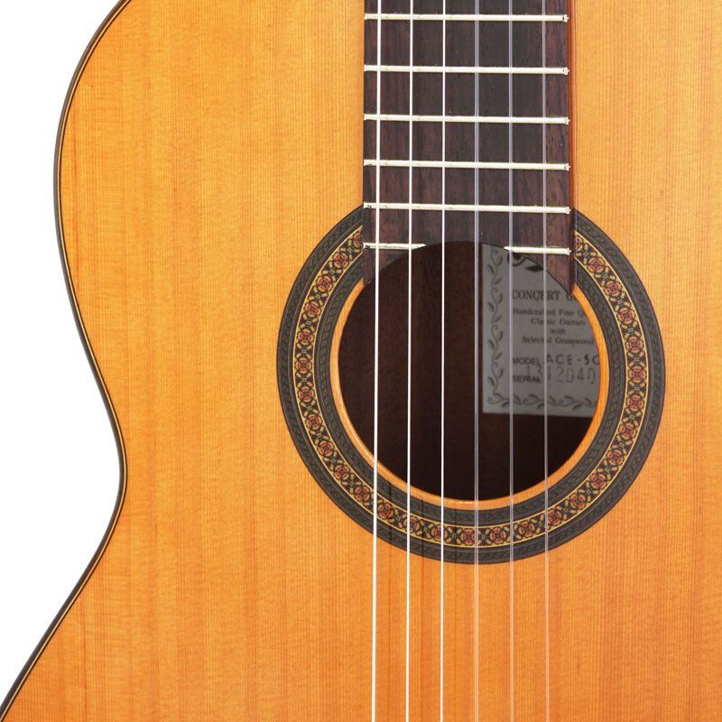 Aria ACE-5C [Solid Cedar Top/Sapelli Back & Sides] [本数限定特別