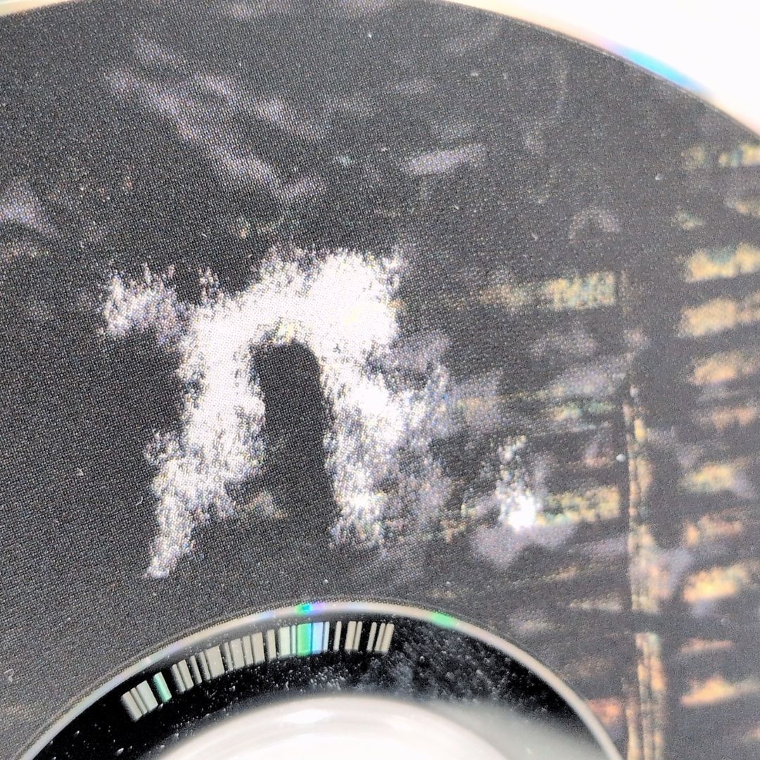 n. ホラー＆カトラリー新潟 Eight こんにちは谷田さん キタニタツヤ