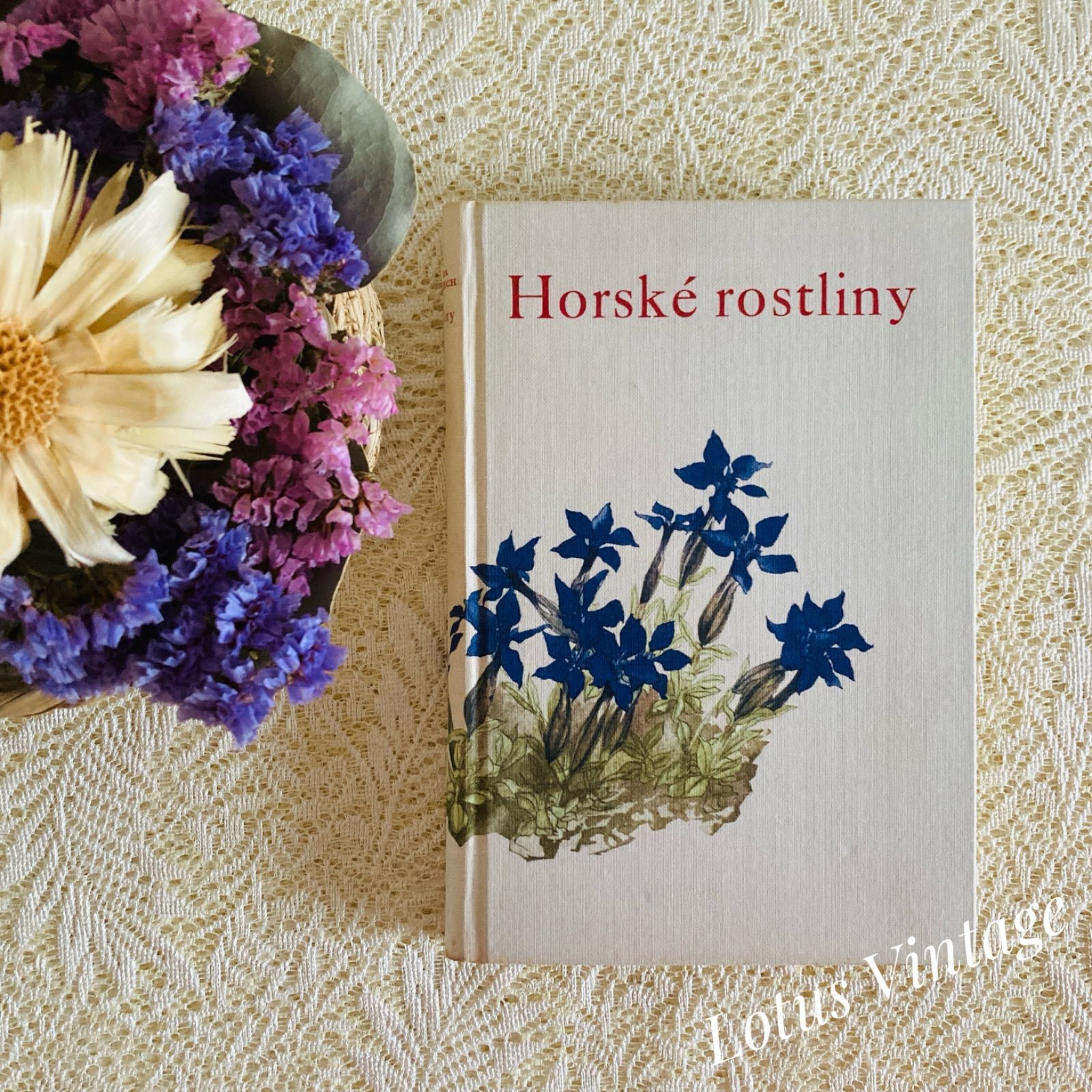 チェコ語の美しい植物図鑑 高山植物 カレル・スヴォリンスキーの植物画