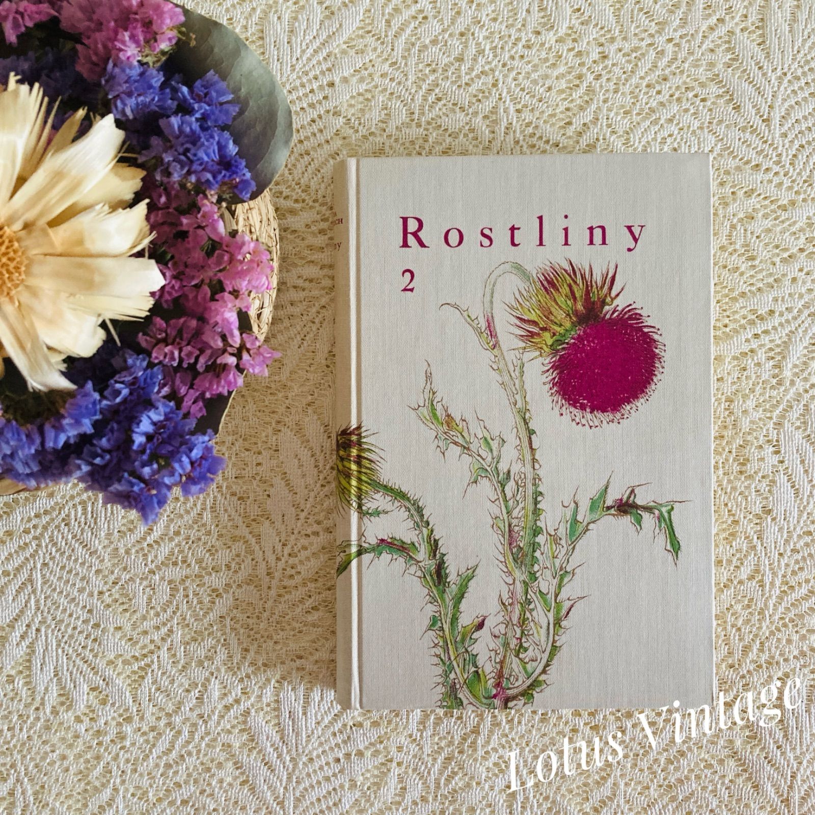 チェコの美しい植物図鑑 Rostliny2 野の花 カレル・スヴォリンスキーの