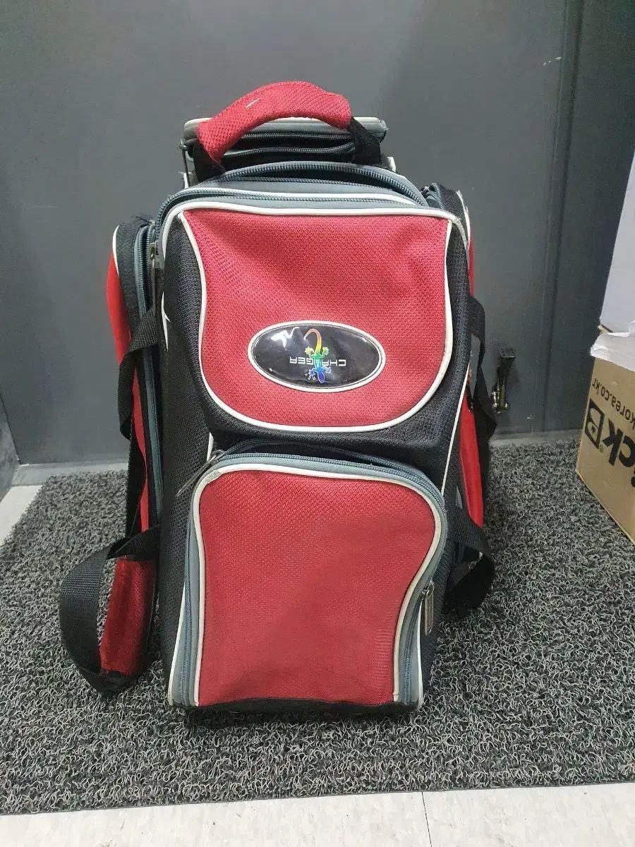 数量限定】 15ポンド 【新品】ラディカル コンスピラシーセオリー