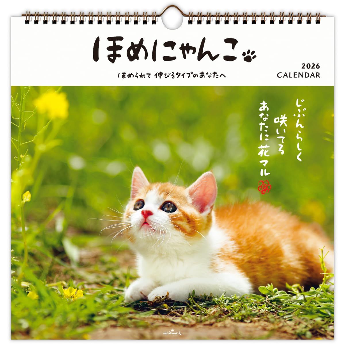 ホールマーク 2026年 カレンダー 壁掛け 大 ほめにゃんこ 845308 [壁掛