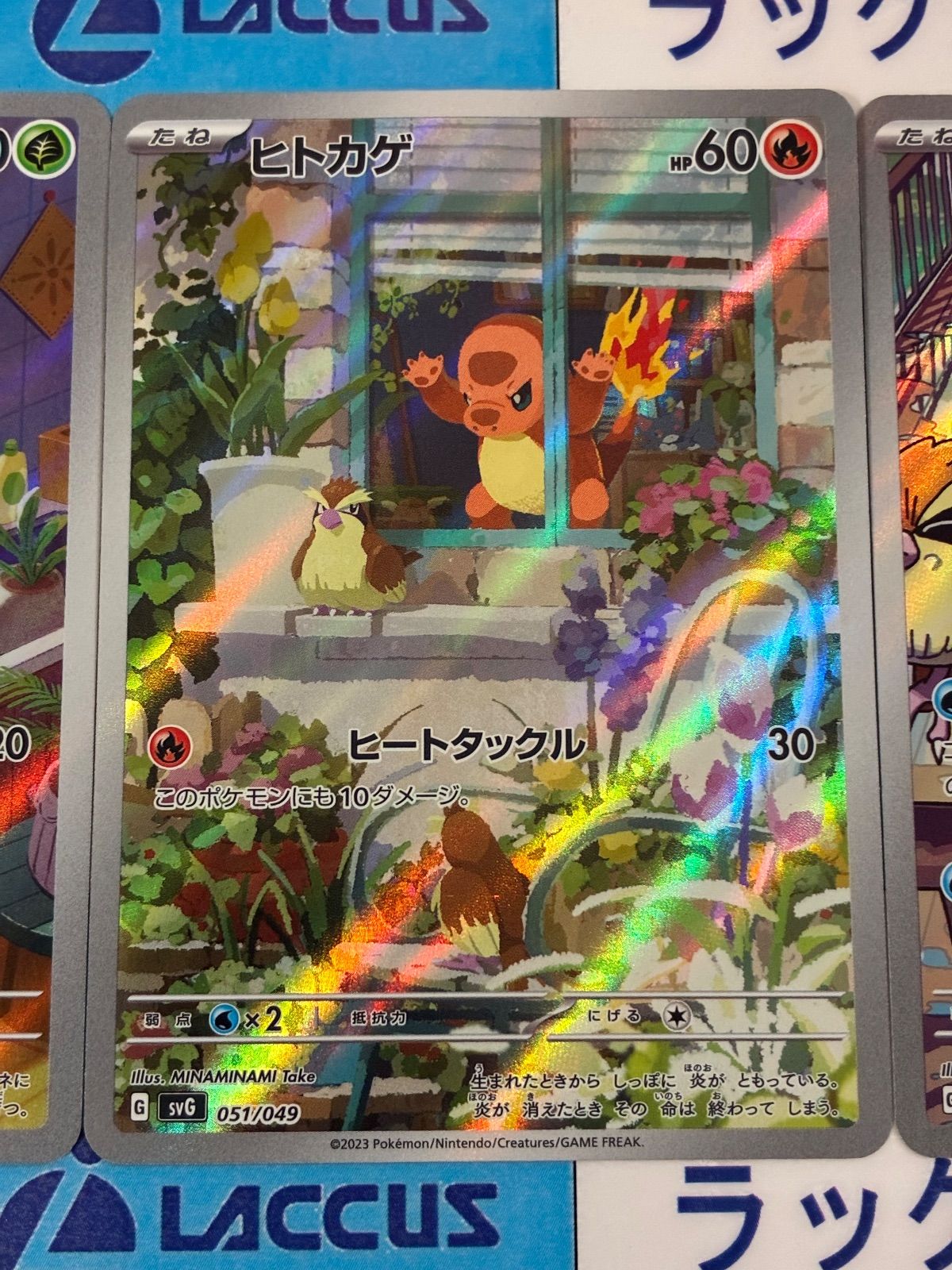 ポケモンカード/ポケカ フシギダネ050/049 ヒトカゲ051/049 ゼニガメ