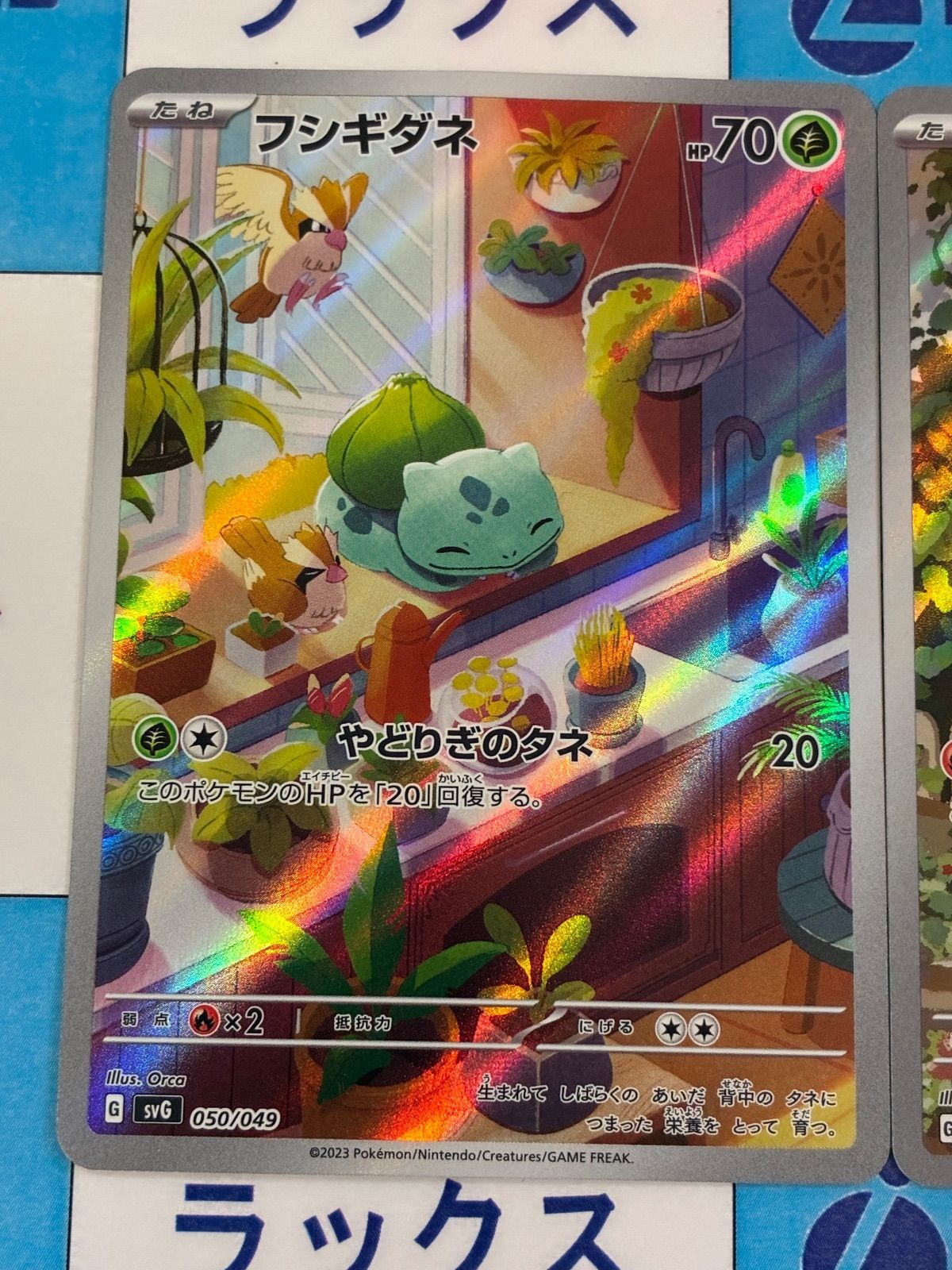 ポケモンカード/ポケカ フシギダネ050/049 ヒトカゲ051/049 ゼニガメ