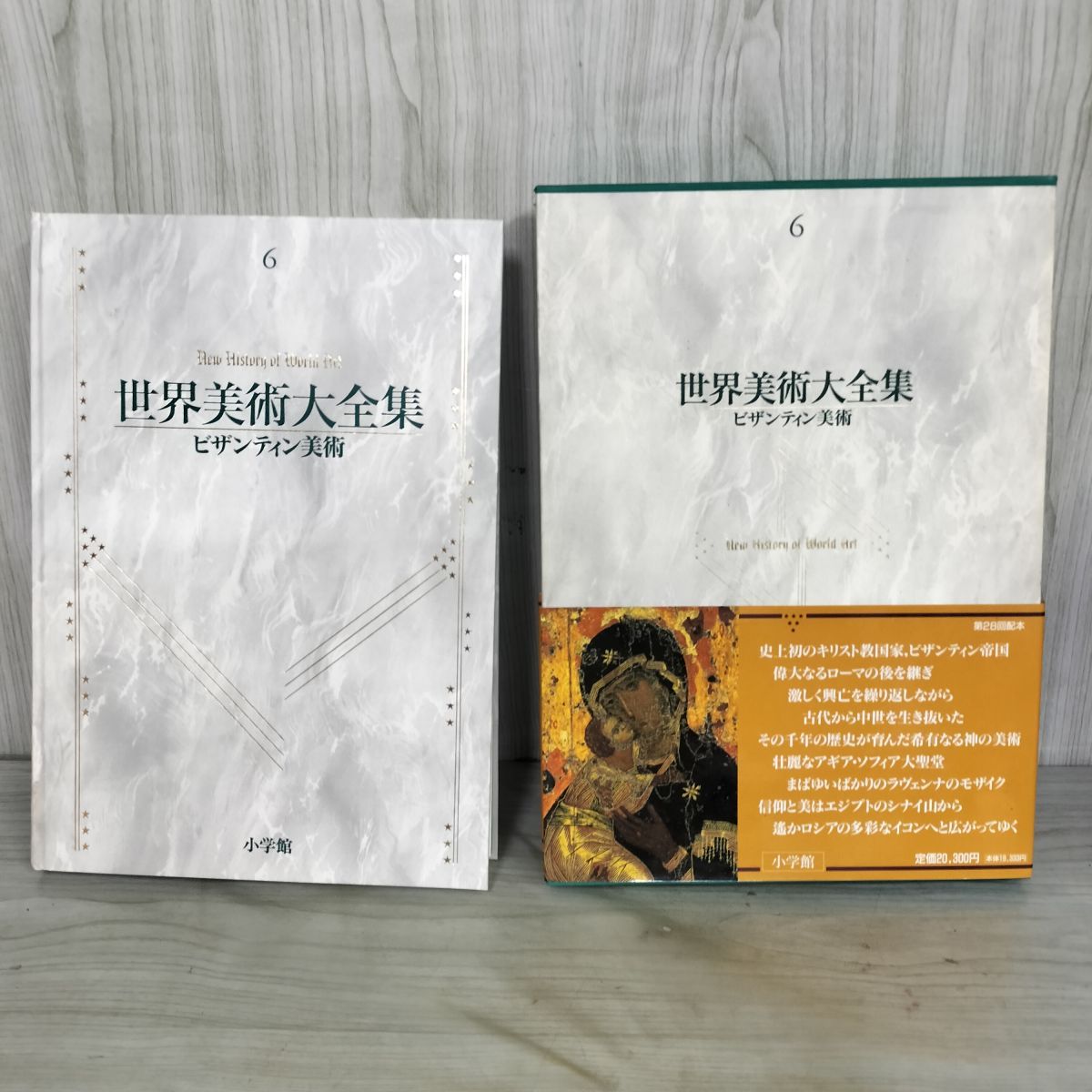 ビザンティン美術 世界美術大全集 西洋編6 世界美術大全集