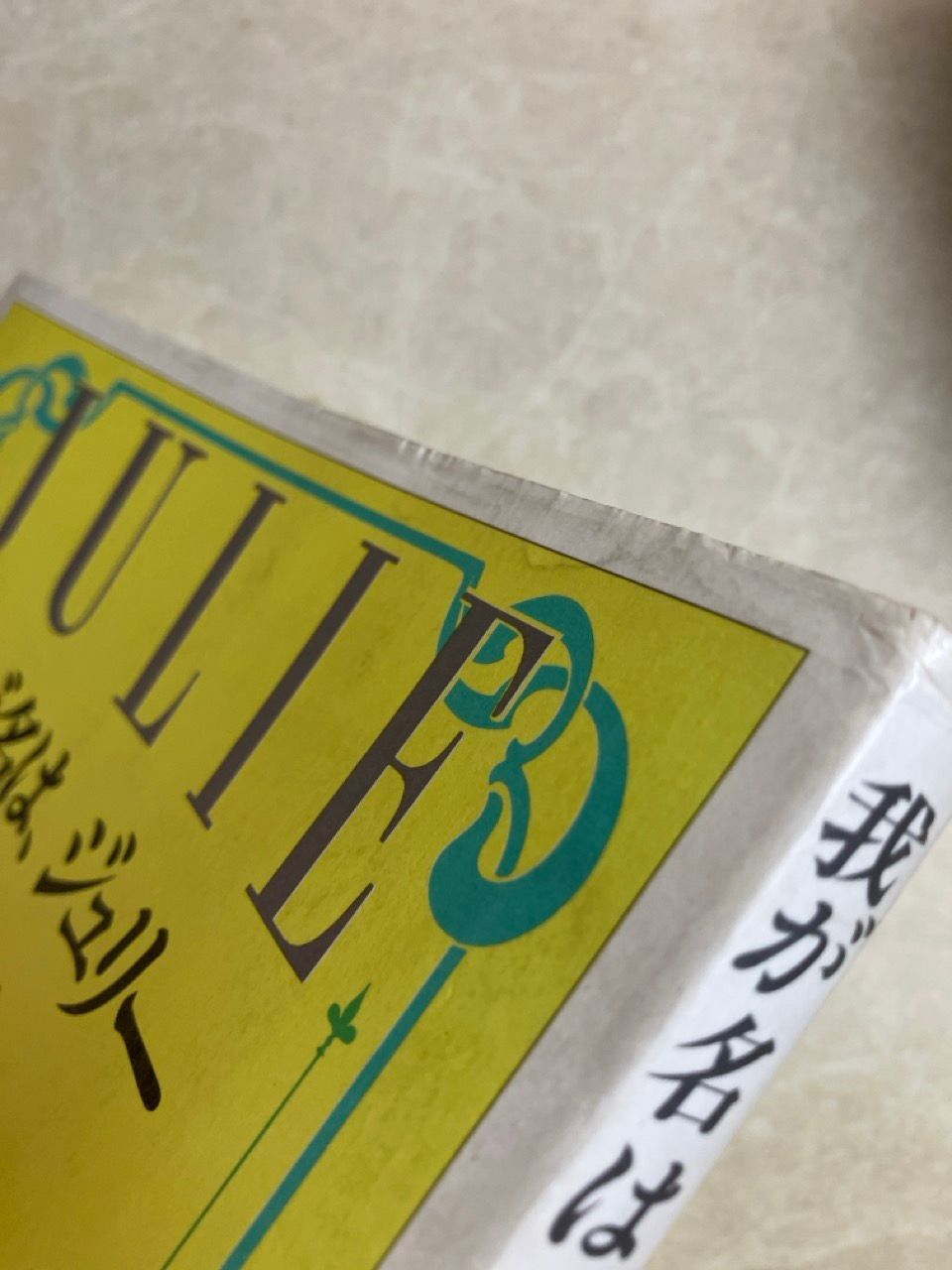 JULIE 我が名は、ジュリー　沢田研二 Amazon.co.jp: 我が名は、ジュリー : 沢田 研二, 玉村 豊男: 本
