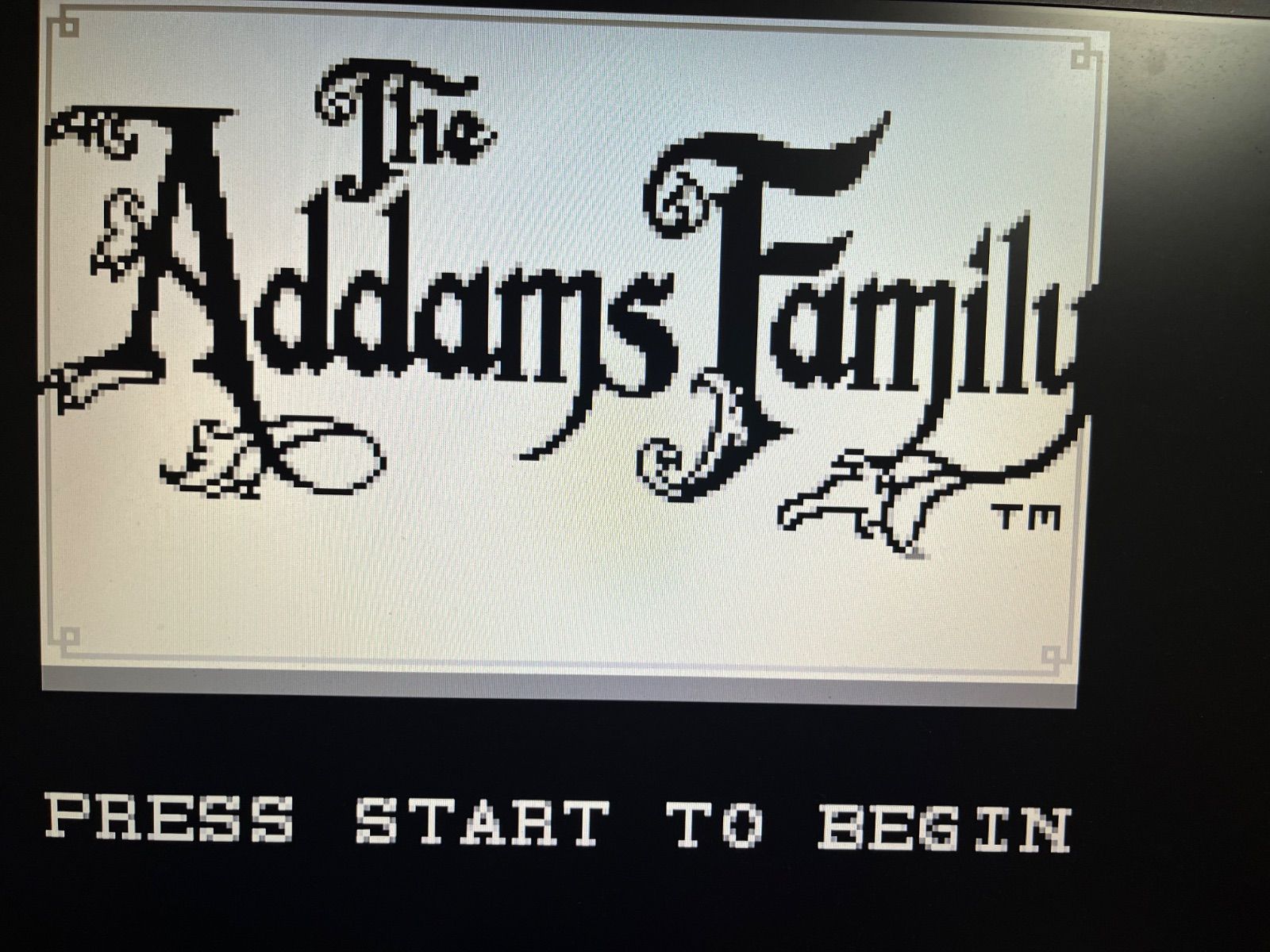 アダムス・ファミリー ゲームボーイ激レアソフト✨ アダムス・ファミリー ゲームボーイ激レアソフト✨ 2025年最新