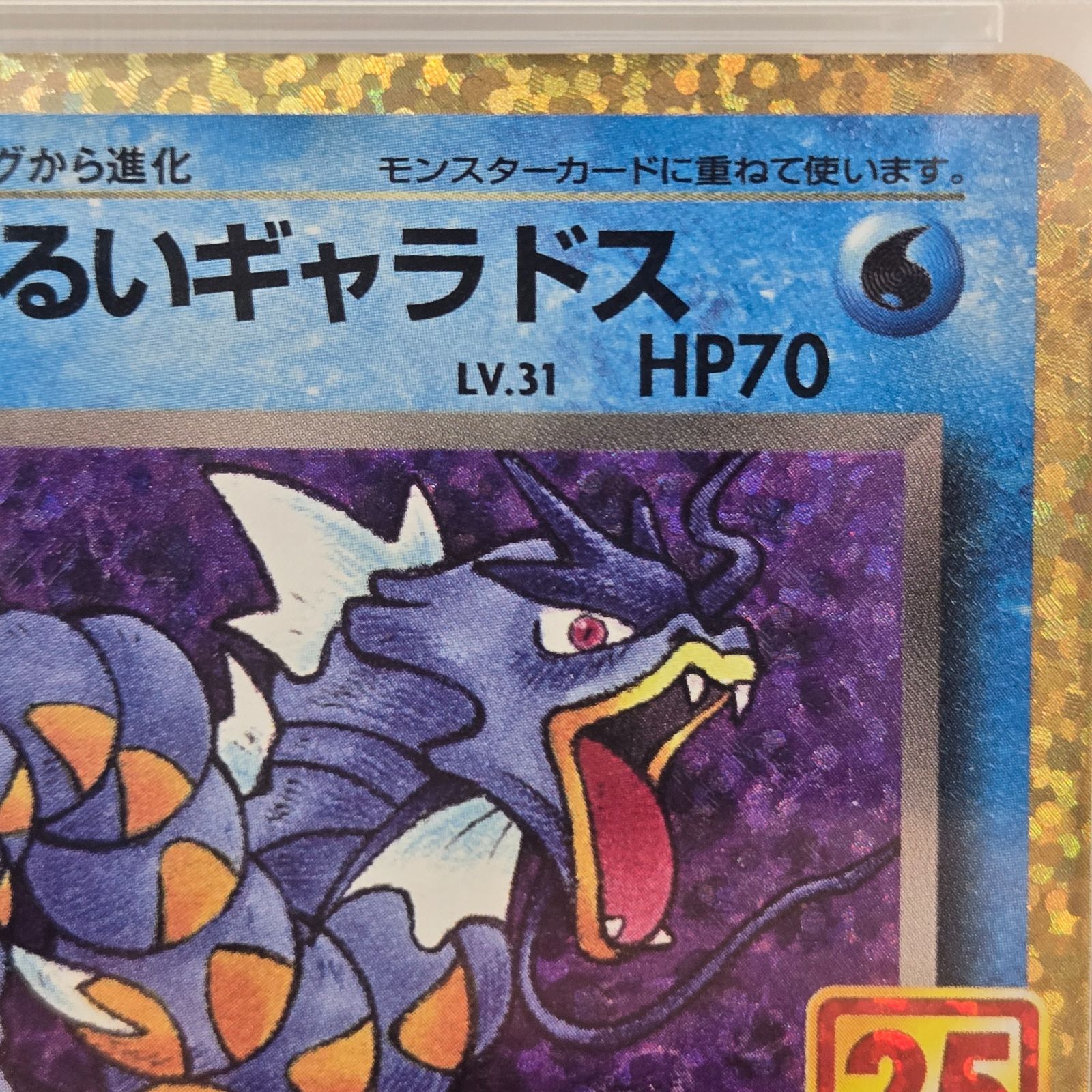 PSA10】ポケモンカードゲーム わるいギャラドス プロモカードパック