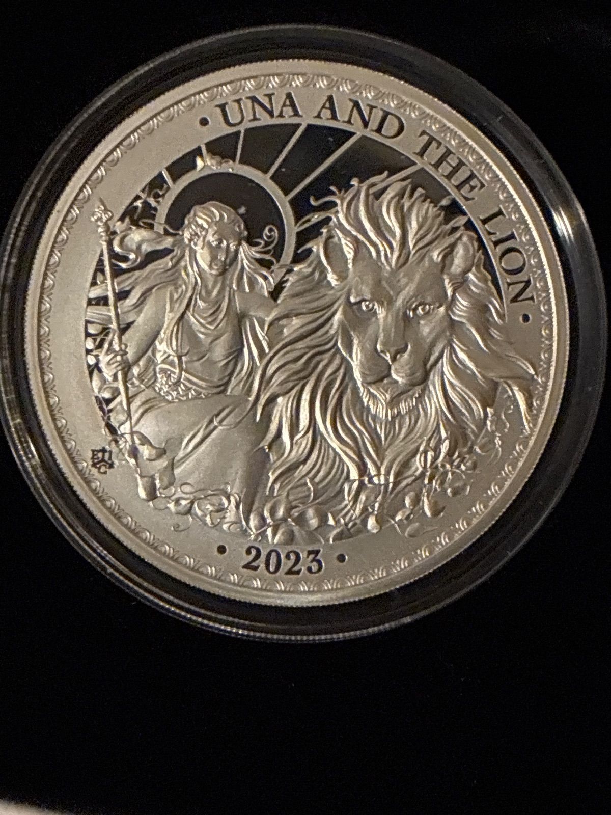 2023年発行のウナとライオンのプルーフ銀貨 - メルカリ