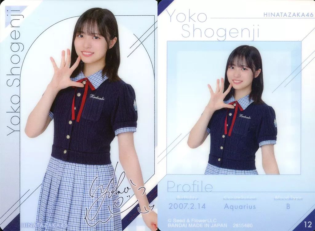 中古】コレクションカード(乃木坂46) 12[ノーマル]：日向坂46/正源司