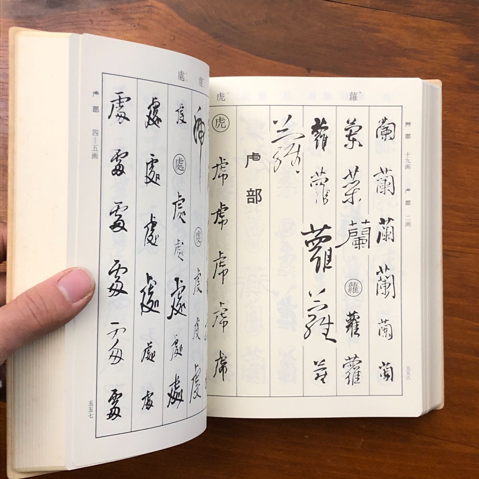 王鐸字典 伊藤松濤 二玄社 1983年6月30日 初版 ☆王鐸/明代書法/中国