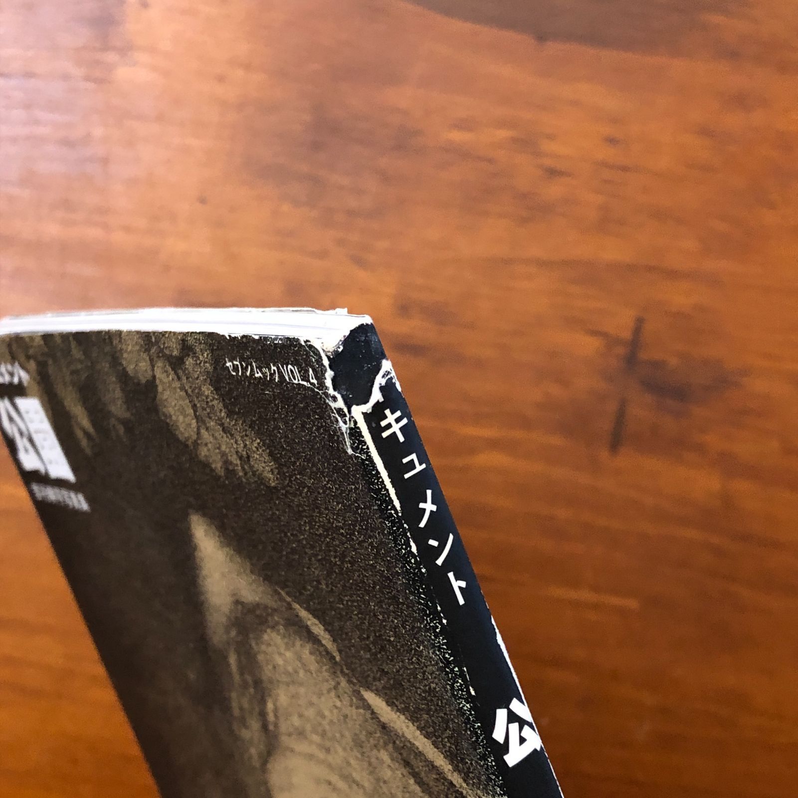 ドキュメント 公園 吉行耕平写真集 吉行耕平 せぶん社 昭和55年5月31日