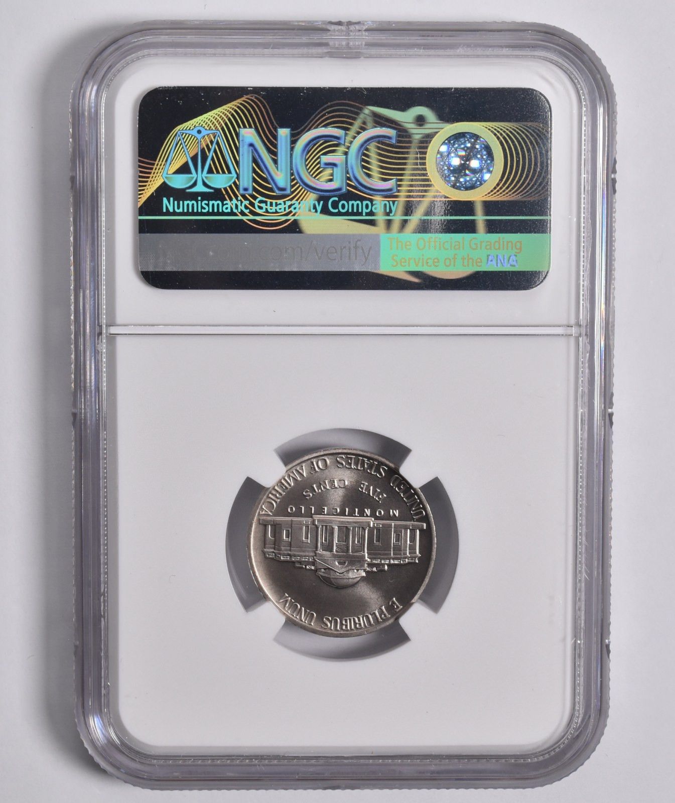 銀メダル？ Kawasaki Ninja Zx 9000 Zx 900 Dames Bluebird Concepts Adidas ZX