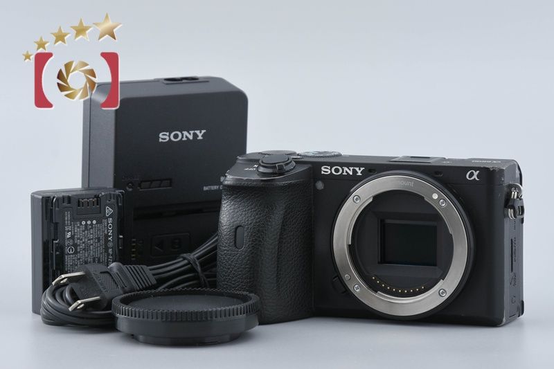 SONY ソニー α6600 ILCE 6600 ミラーレス一眼カメラ 海外版 ミラーレスカメラ