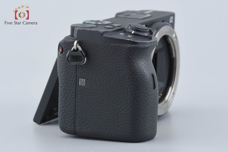  SONY ソニー α6600 ILCE 6600 ミラーレス一眼カメラ 海外版 ミラーレスカメラ ミラーレス一眼 デジタルカメラ