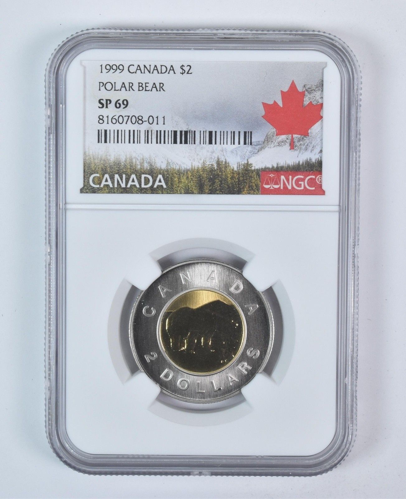 1999年にカナダで買った記念硬貨セット。 1999 2000 カナダ ミレニアム記念コイン