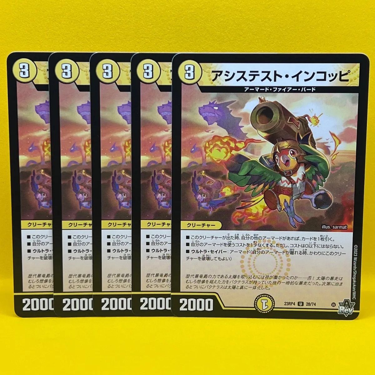 アシステスト・インコッピ 5枚セット - メルカリ