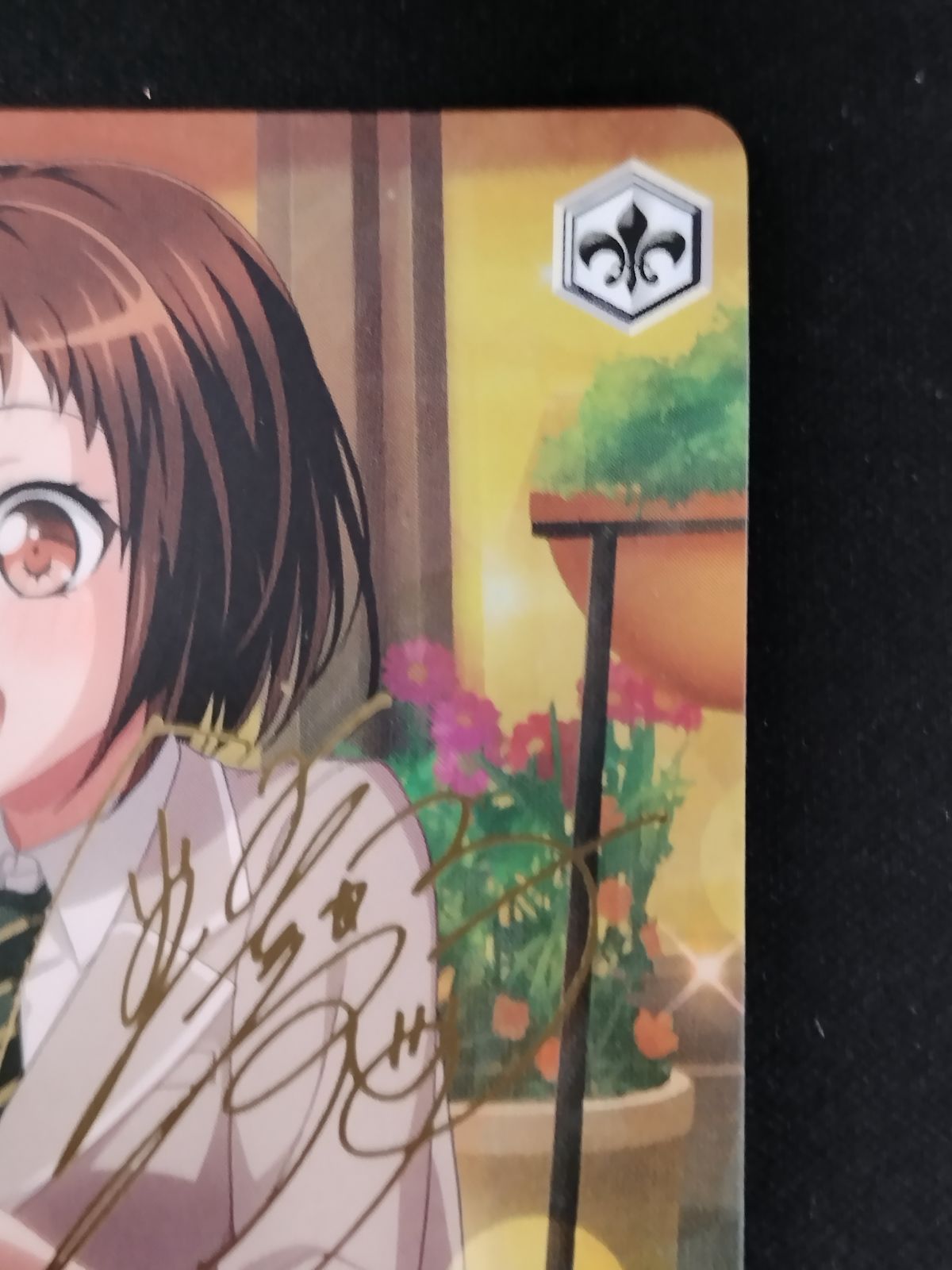 ヴァイス　あたしたちの音楽　羽沢つぐみ　ssp サイン　2枚　最終値下げ ヴァイス あたしたちの音楽 羽沢つぐみ ssp サイン 2枚 最終値下げ