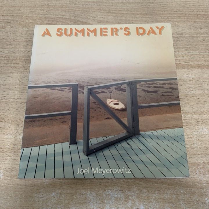 △01)【1点限り!】A SUMMER'S DAY/Joel Meyerowitz/ジョエル・マイヤー
