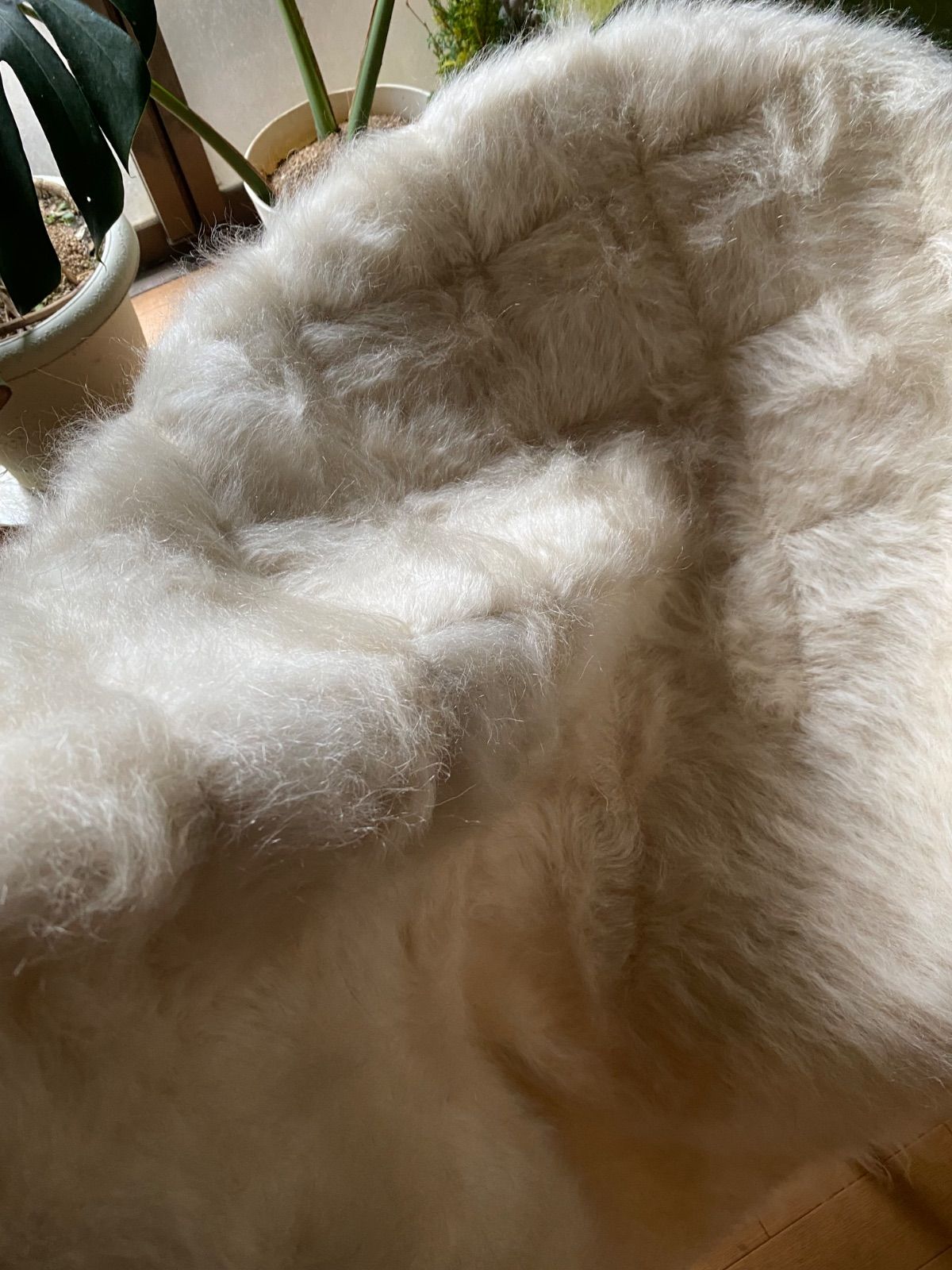 知ってください！トルコのシイルトバッタニエ！当店オリジナルサイズ