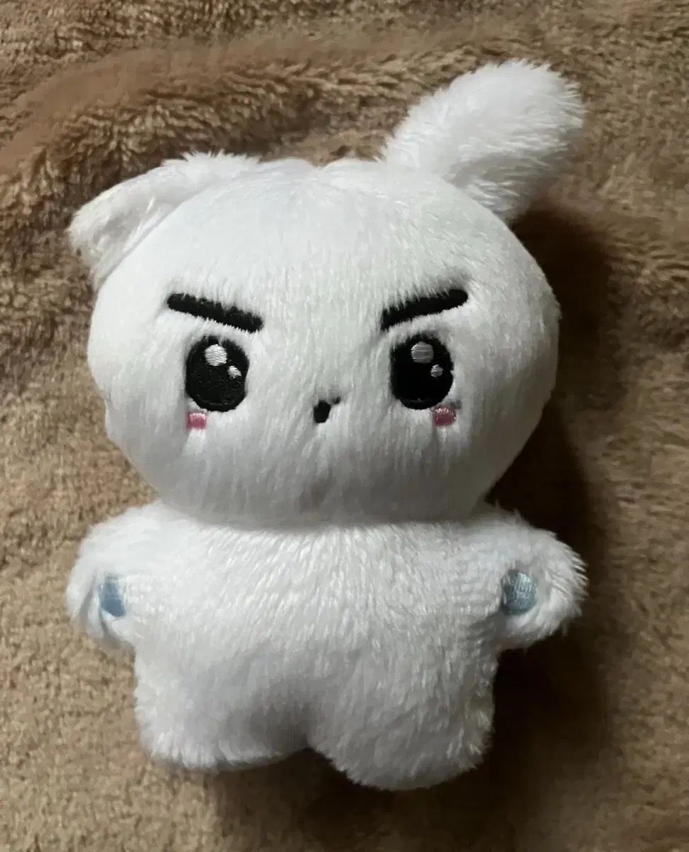 THE BOYZ(ザ・ボーイズ・ドボイズ) ヨンフン(YOUNGHOON) ぬいぐるみ 빵