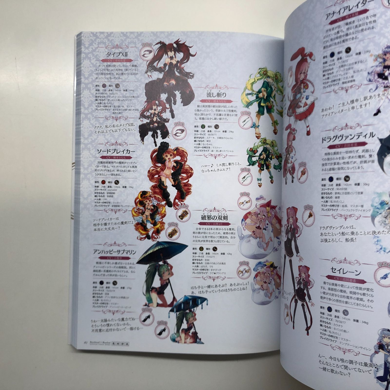 ブレイブソード × ブレイズソウル 公式ビジュアルブック2 魔剣繚嵐 