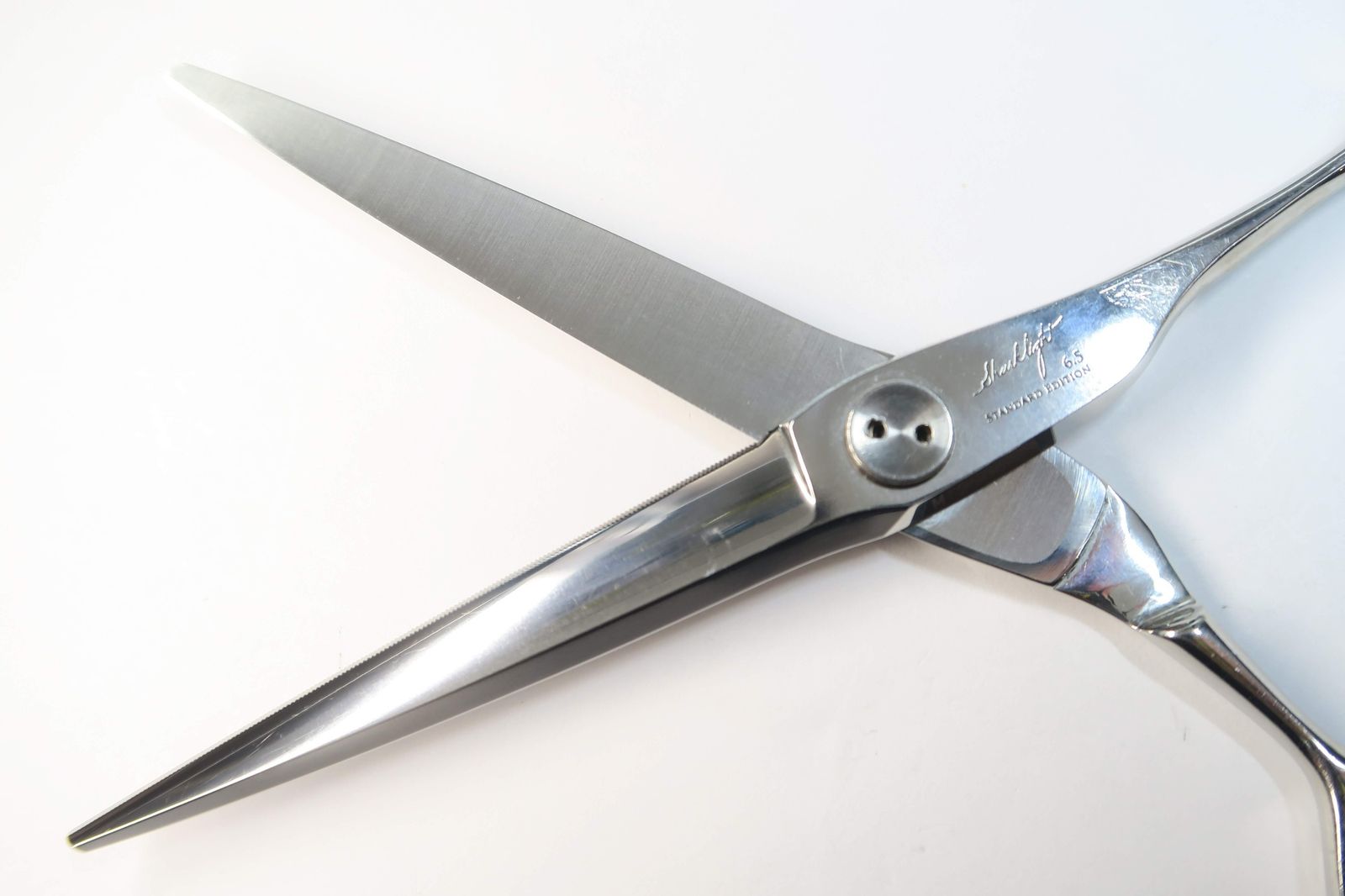 トギノン　シャークライト　6.5インチ シャークライト - TOGINON