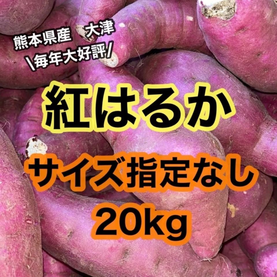 えっぐのっぐ！熊本県産　熟成紅はるかA品Mサイズ20キロ 熊本県産紅はるか（大中小混合）20kg 送料込み えっぐのっぐ！