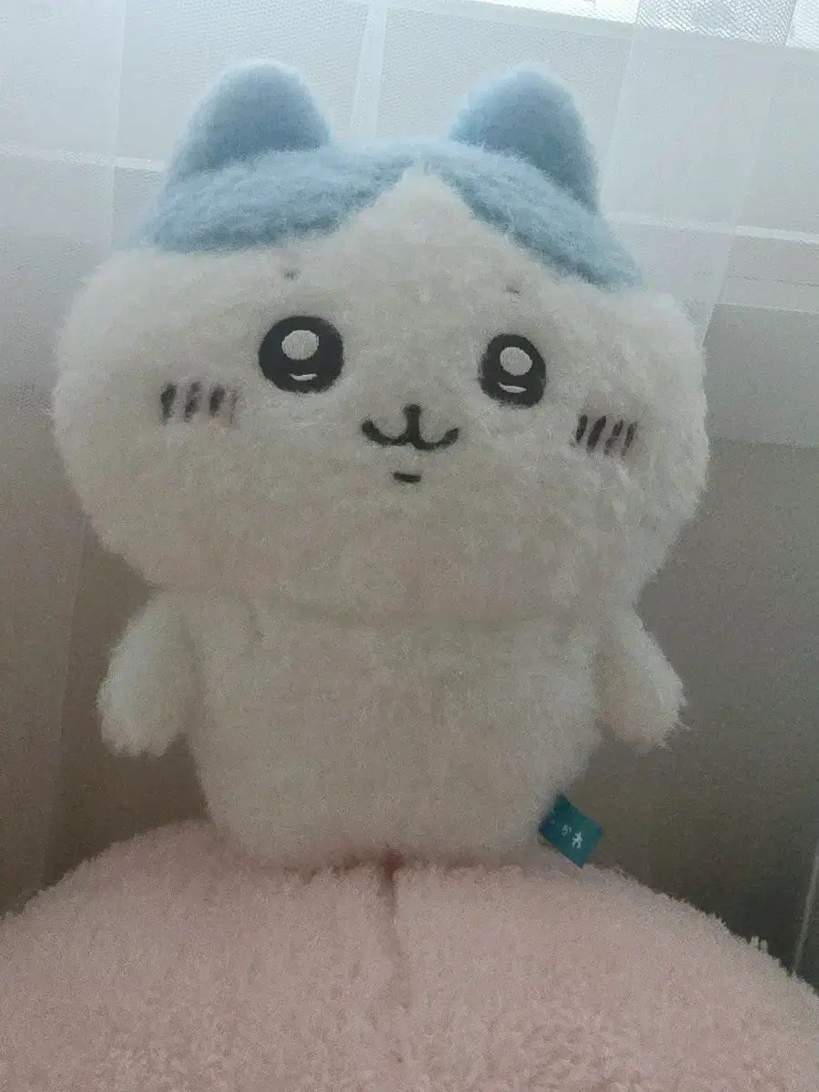 ちいかわ ほわほわ ハチワレ ぬい S ちいかわ ほわほわぬいぐるみS