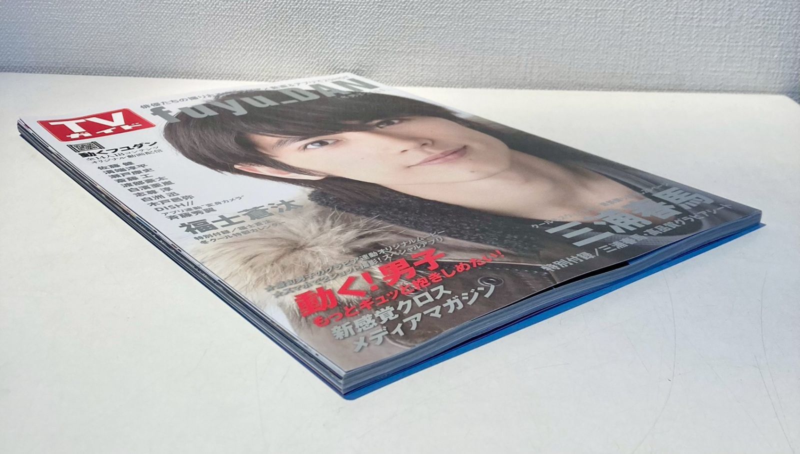 三浦春馬 TVガイド 冬男子2014 雑誌 - メルカリ
