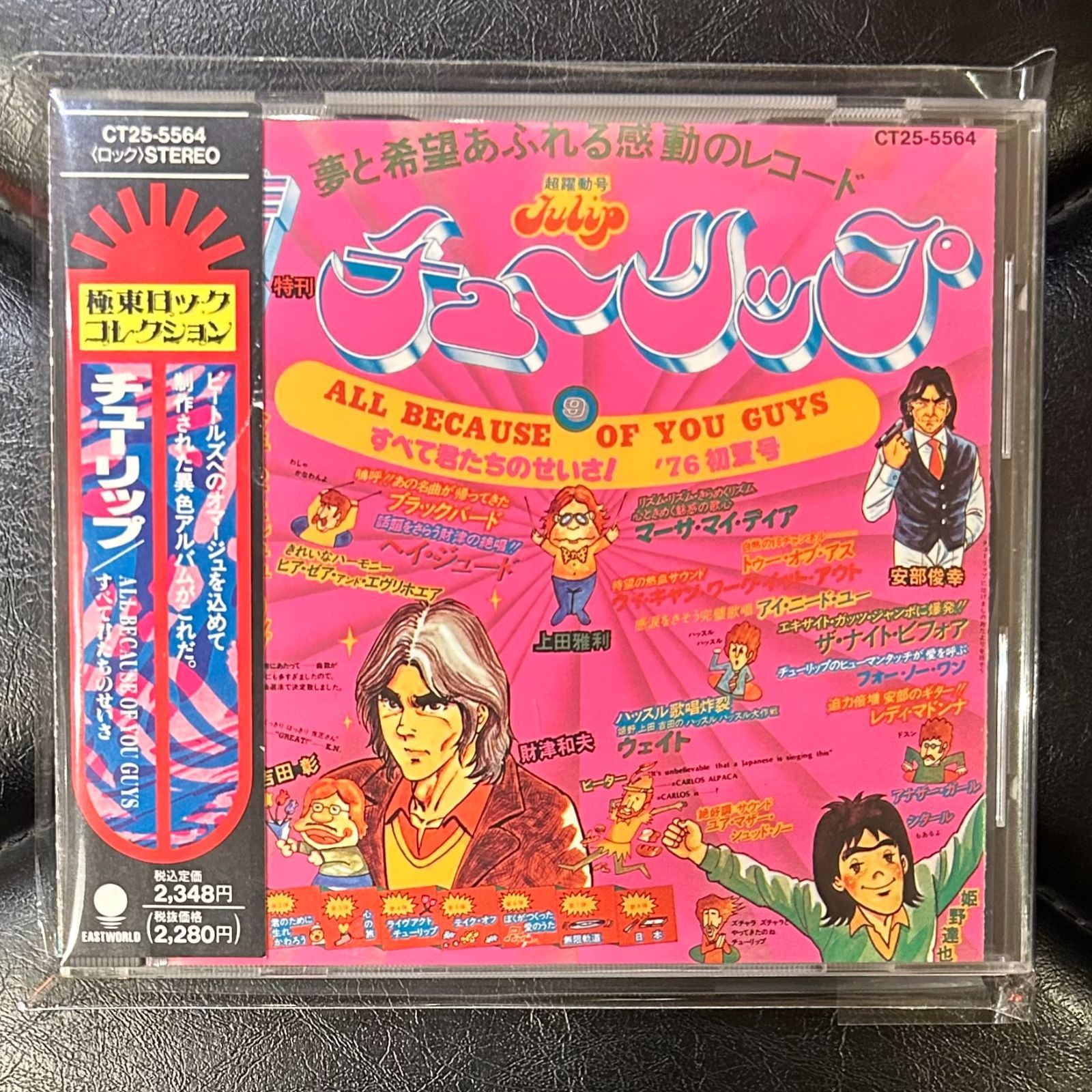 廃盤帯付きCD】チューリップ「すべて君たちのせいさ」Tulip - メルカリ