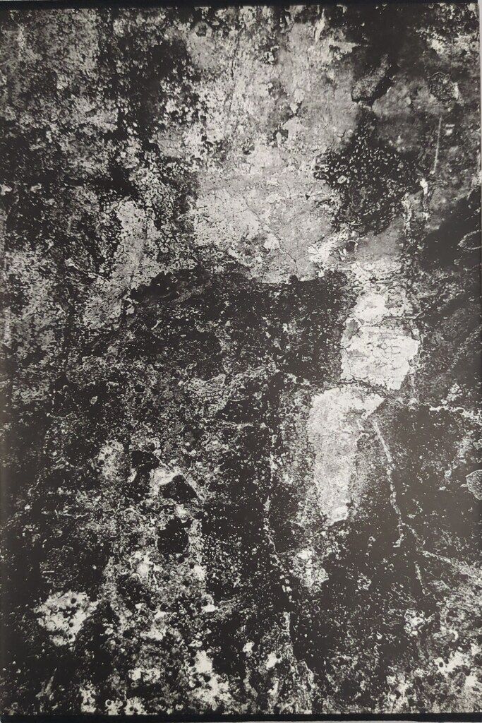 サイン入り 川田喜久治 地図 復刻版