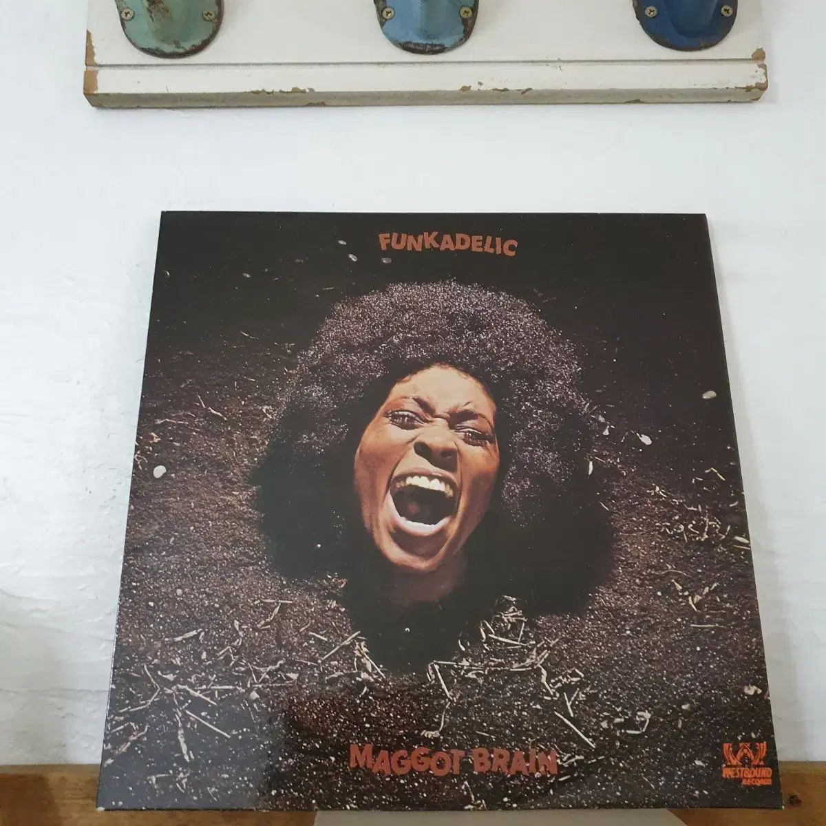 FUNKADELIC (ファンケデリック) LP 2006 孤独な 500 みょうばん