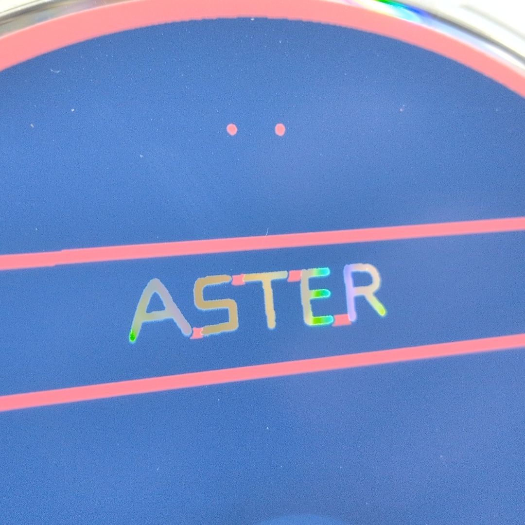 はるまきごはん ASTERセルフカバーCD 限定品 はるまきごはん ネオドリームトラベラー 特典 セルフカバー CD