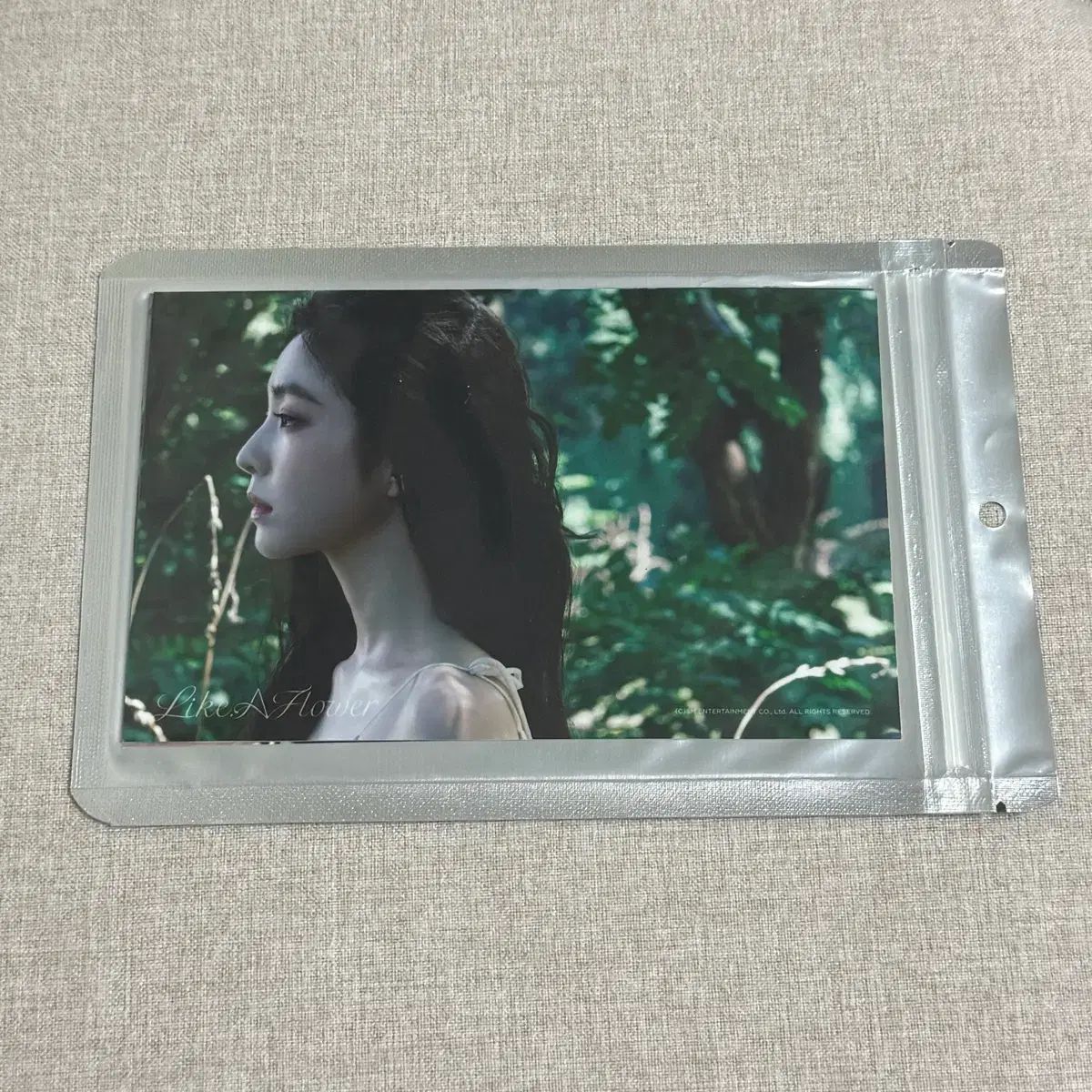 Red Velvet(レッドベルベット・レドベル) アイリーン(IRENE) Like A