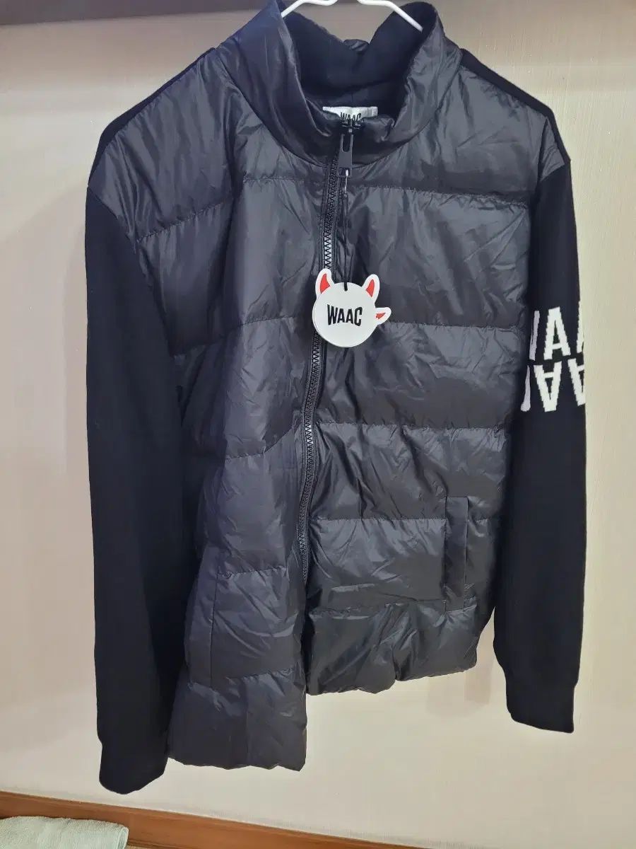 桃色の地図 清水正二郎 注文