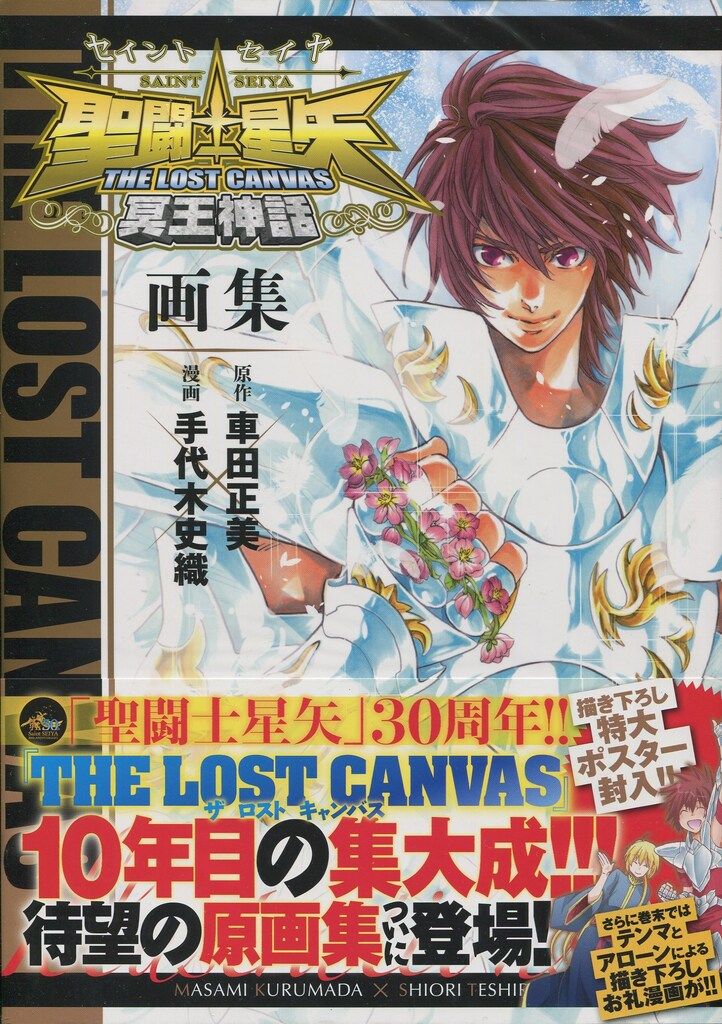 秋田書店 手代木史織 聖闘士星矢THE LOST CANVAS 冥王神話画集 (帯付