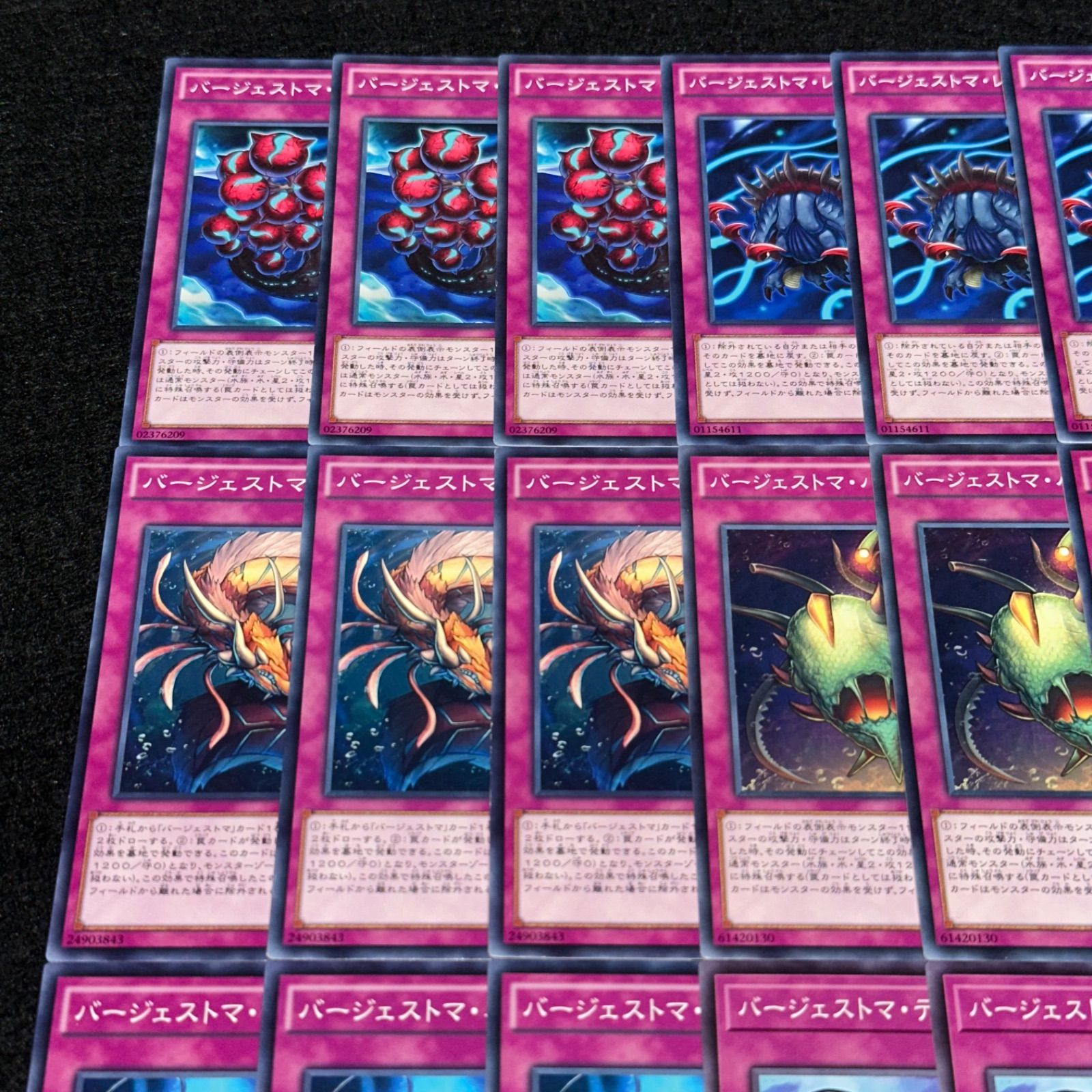 遊戯王】No.2974 バージェストマエルドニア バージェストマレアンコ