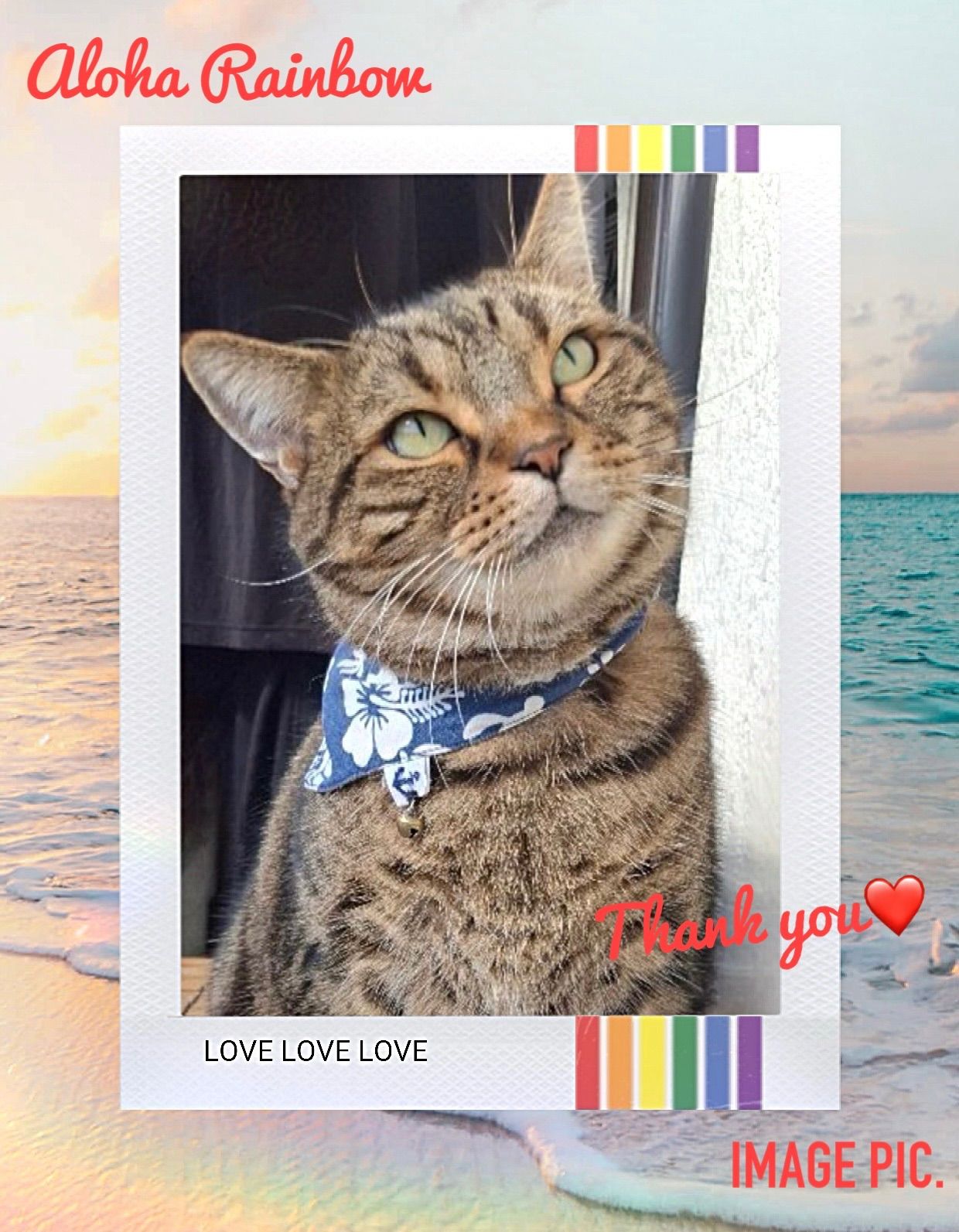 No.2692☘️ 犬猫用 リバーシブルバンダナ XSサイズ ハワイアン イエロー No.2692☘️ 犬猫用 リバーシブルバンダナ XSサイズ ハワイアン