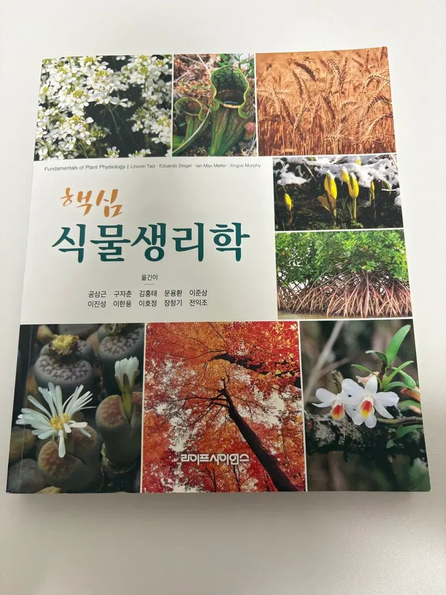 本 テイツ/ザイガー 植物生理学・発生学 原著第6版 (KS生命科学専門書)