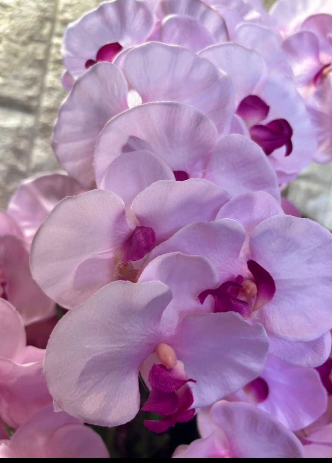 光触媒 人工観葉植物 ウォールグリーン フェイクグリーン 胡蝶蘭8550